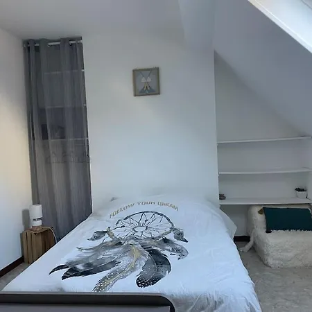 Duplex Cosy Plein Centre Appartement Boulogne-sur-Mer